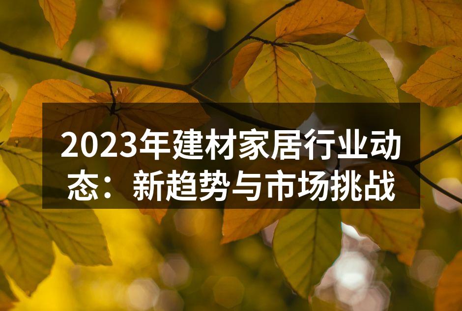 2023年建材家居行业动态:新趋势与市场挑战